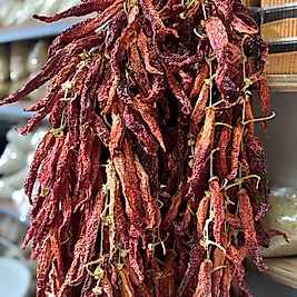 Tatlı Biber Kurusu 1 Dizi