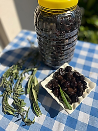 Gemlik( Trilya) Orta Boy Zeytin 1KG